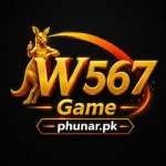 W567 Game